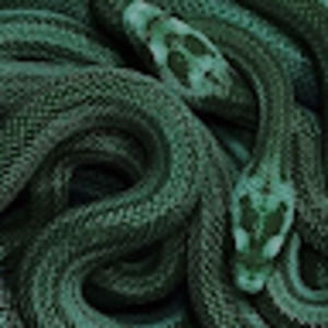 Meet your Posher, Jacey